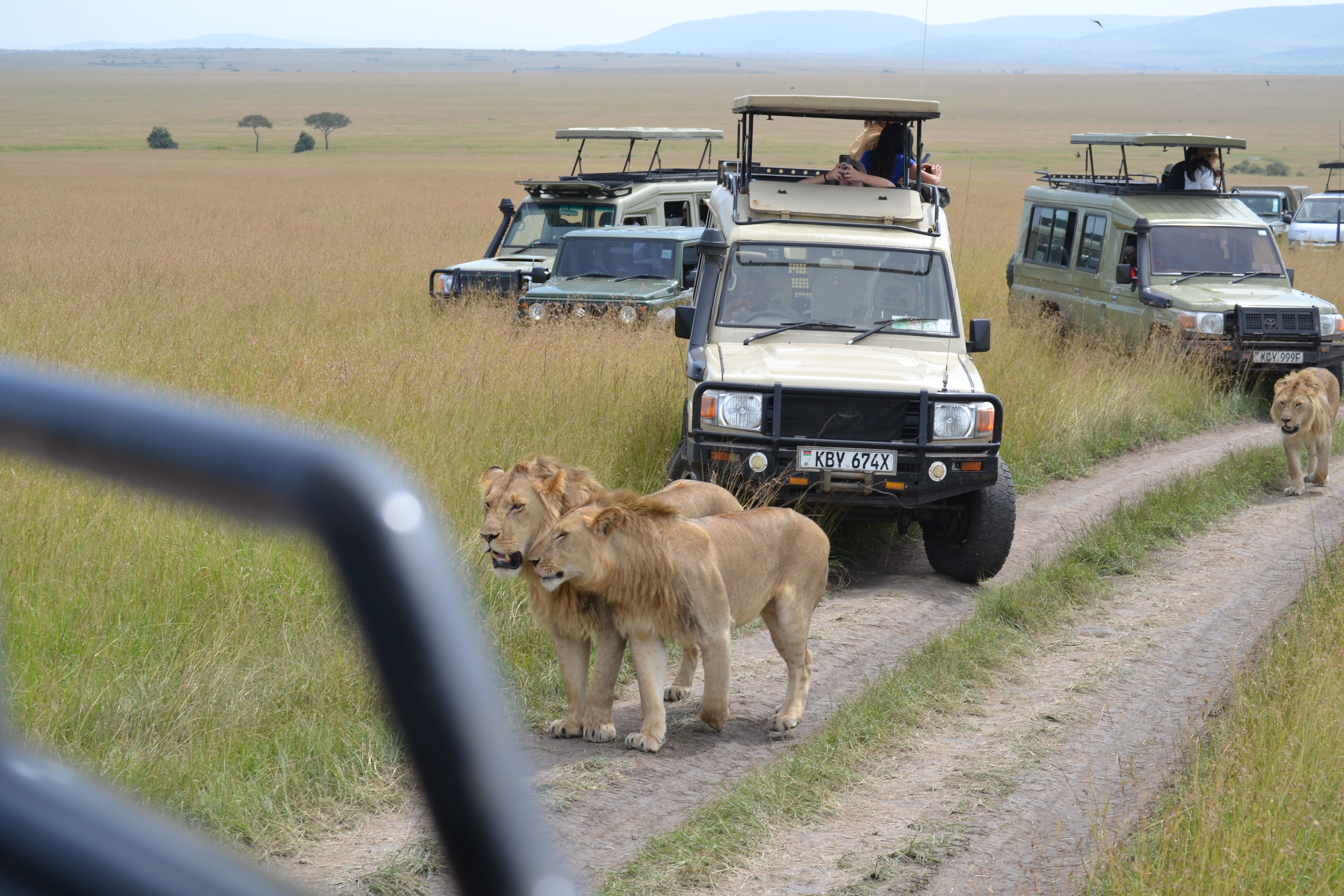 7 DAYS ULTIMATE KENYAN SAFARI